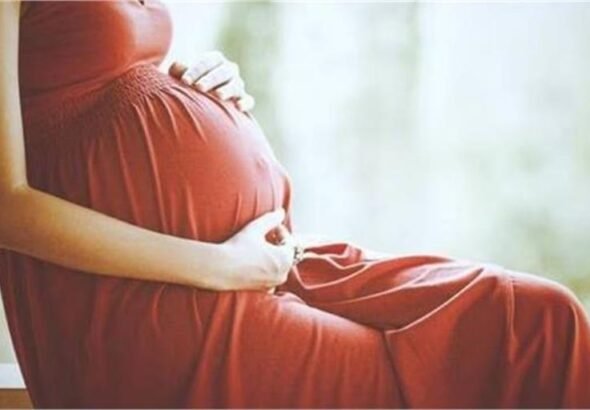 2026_4image_15_07_230740335pregnentwoman-ll