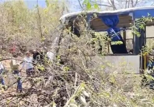 2026_4image_15_23_243039655busajmrer-ll