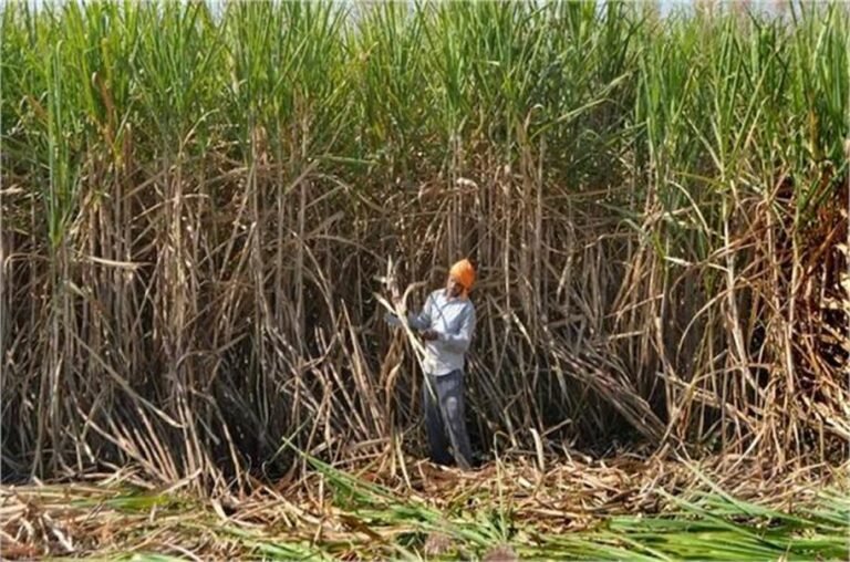 2026_4image_18_18_4751043221111111-ll