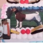 BAKRA