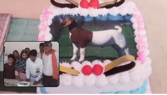 BAKRA
