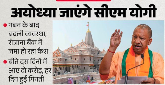 yogi