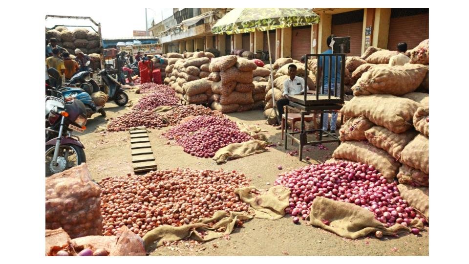 onion-exports