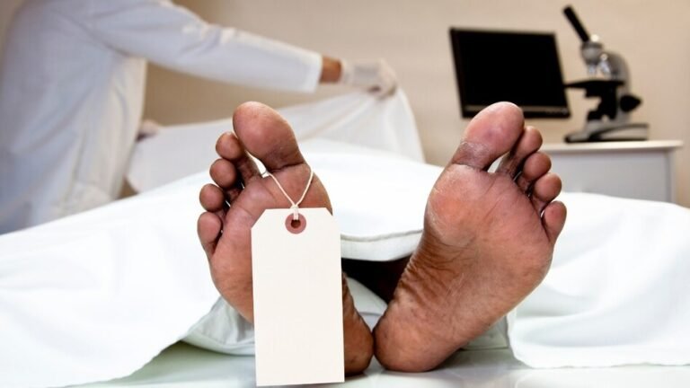 668b63935db1b-dead-body-085705682-16x9