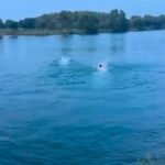 BLLUE WATER