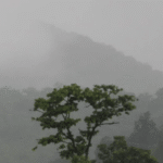 05_08_2026-foggy_050826_m