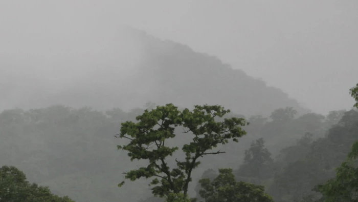 05_08_2026-foggy_050826_m