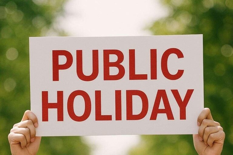 ImageToStl.com_Public-Holiday