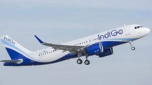 xindigoflight-1676892457.jpg.pagespeed.ic_.IFb3LN6FFO-e1678699184936